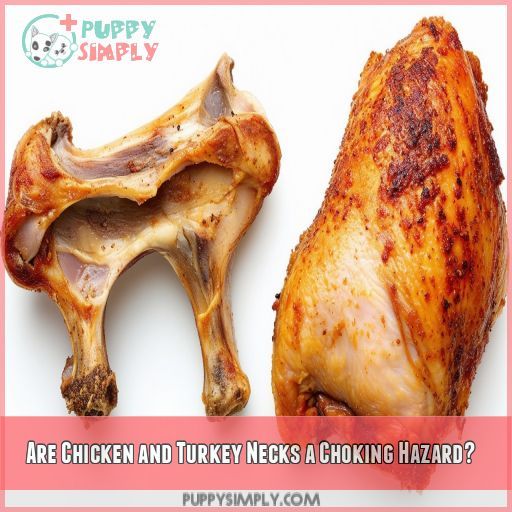 Are Chicken and Turkey Necks a Choking Hazard