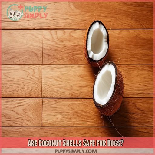 Are Coconut Shells Safe for Dogs