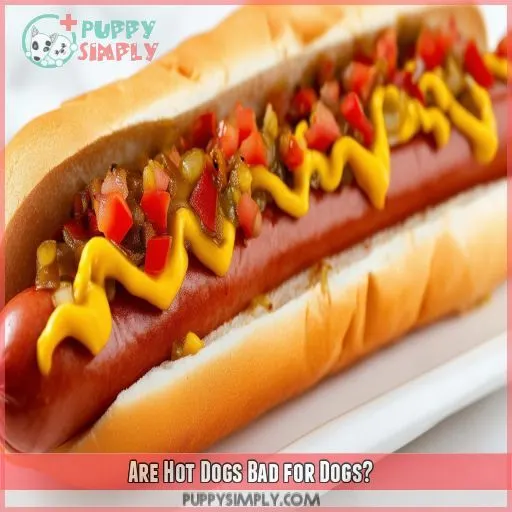 Are Hot Dogs Bad for Dogs