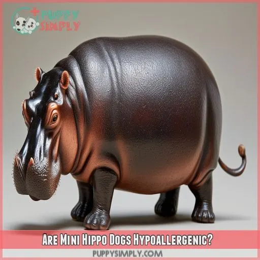 Are Mini Hippo Dogs Hypoallergenic