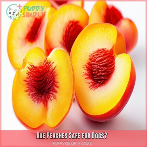 Are Peaches Safe for Dogs