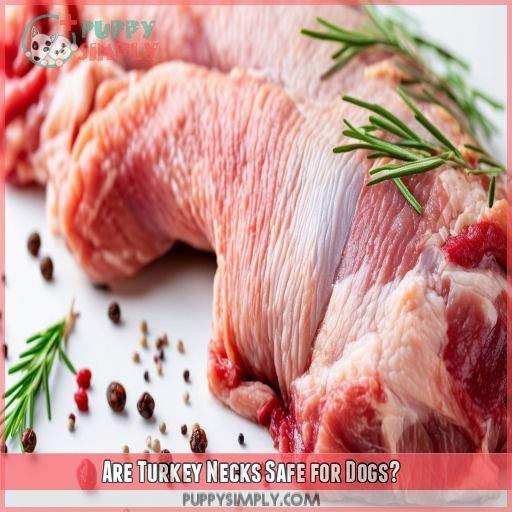 Are Turkey Necks Safe for Dogs