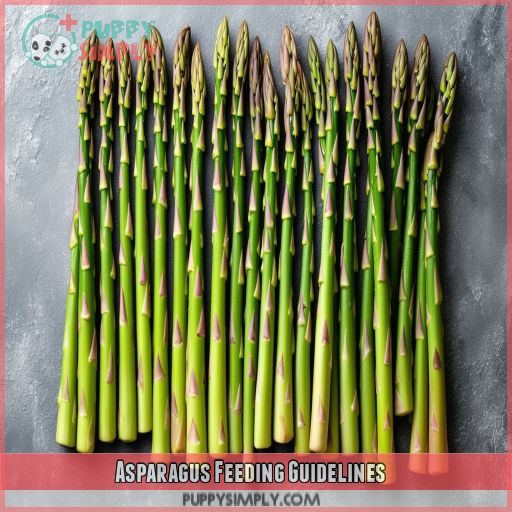 Asparagus Feeding Guidelines