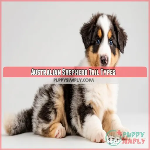 Australian Shepherd Tail Types