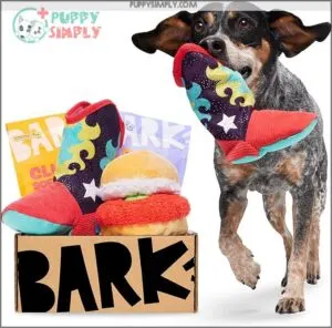 BarkBox Monthly Subscription Box, Dog