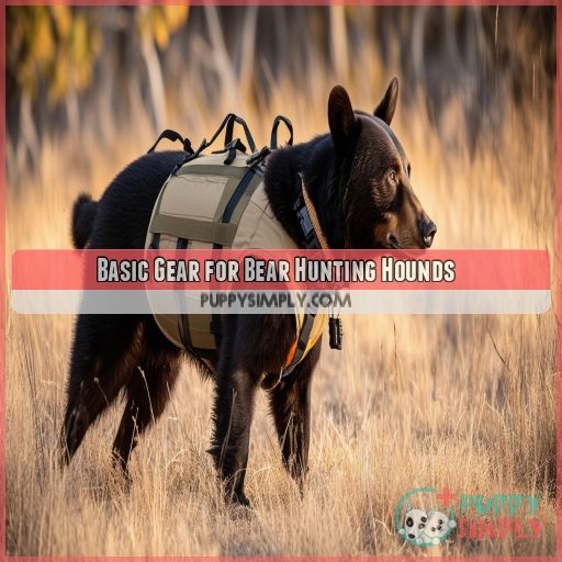 Basic Gear for Bear Hunting Hounds