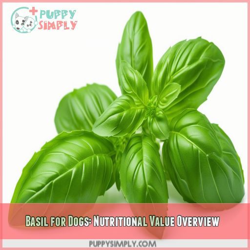 Basil for Dogs: Nutritional Value Overview