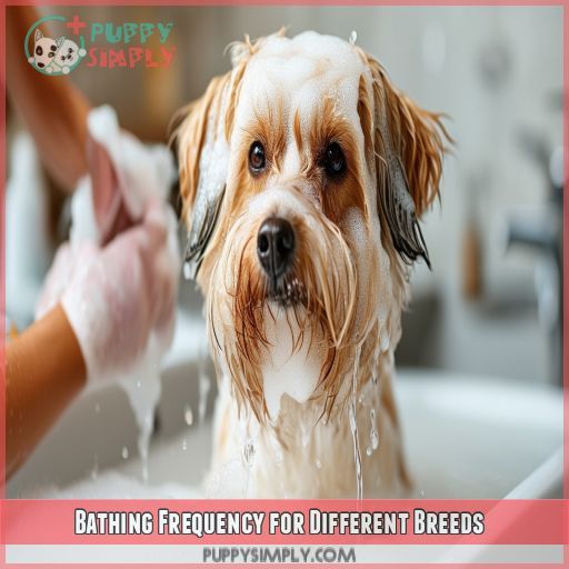 Bathing Frequency for Different Breeds