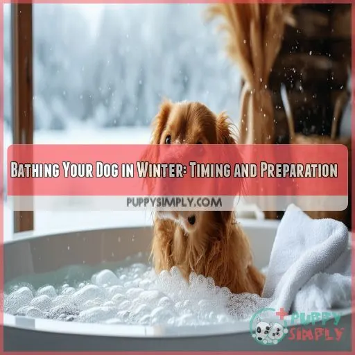 Bathing Your Dog in Winter: Timing and Preparation