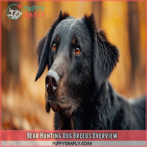 Bear Hunting Dog Breeds Overview