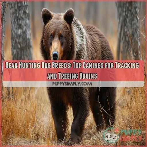 bear hunting dog breeds