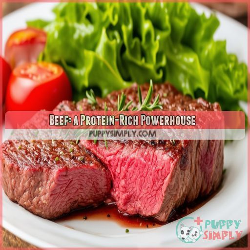 Beef: a Protein-Rich Powerhouse