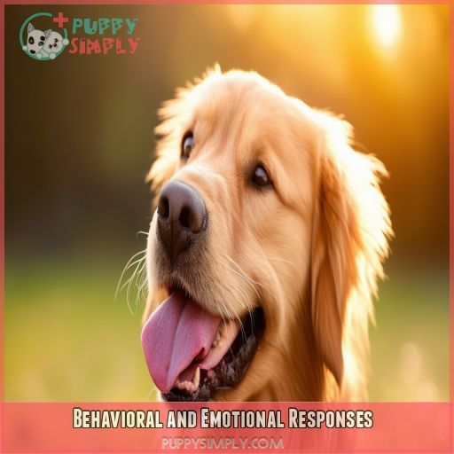 Behavioral and Emotional Responses
