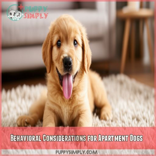 Behavioral Considerations for Apartment Dogs