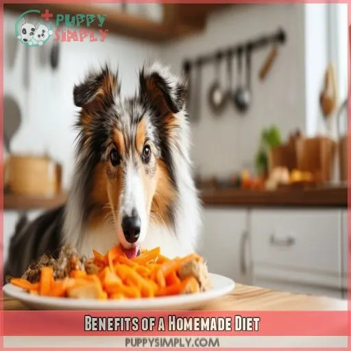 Benefits of a Homemade Diet