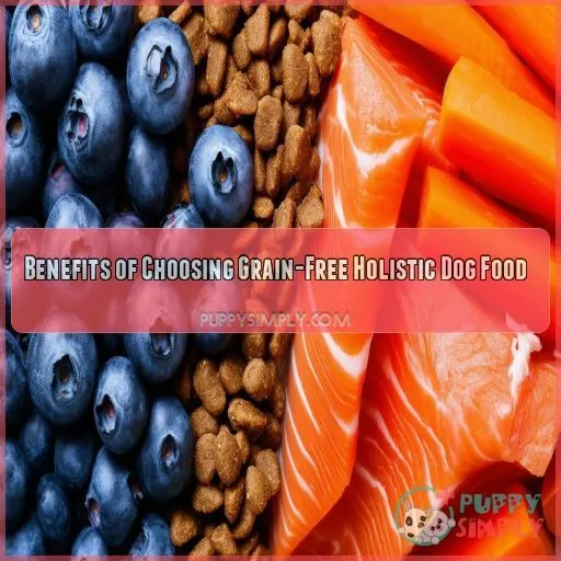 Benefits of Choosing Grain-Free Holistic Dog Food