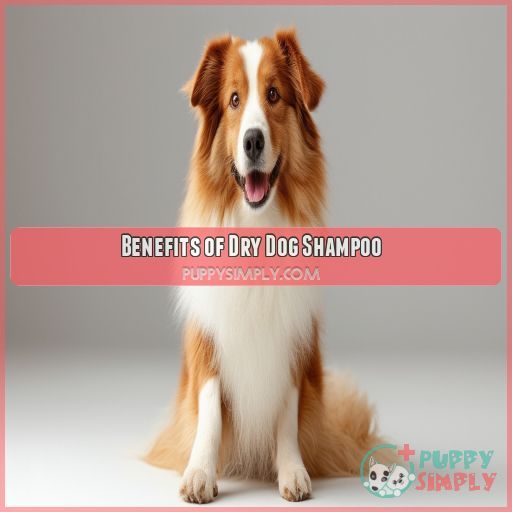 Benefits of Dry Dog Shampoo