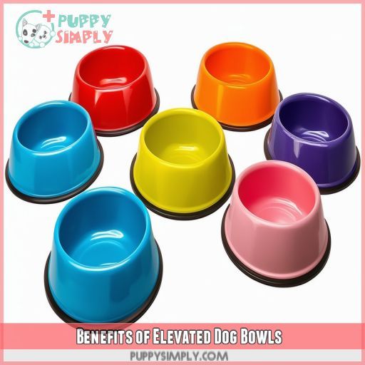 Benefits of Elevated Dog Bowls
