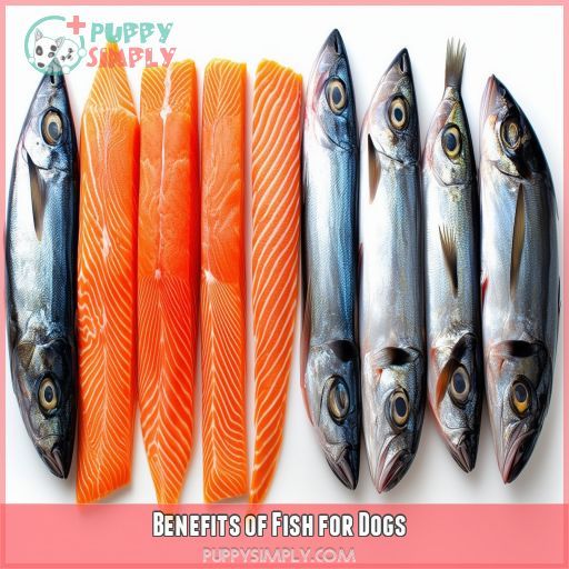 Benefits of Fish for Dogs