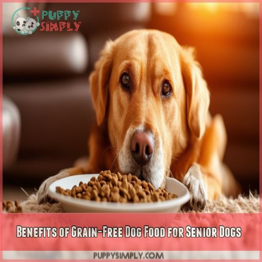 Benefits of Grain-Free Dog Food for Senior Dogs