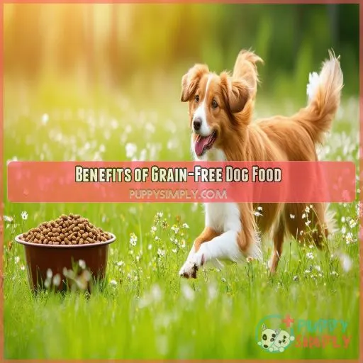 Benefits of Grain-Free Dog Food