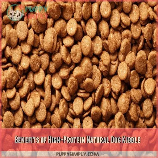 Benefits of High-Protein Natural Dog Kibble