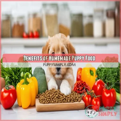 Benefits of Homemade Puppy Food