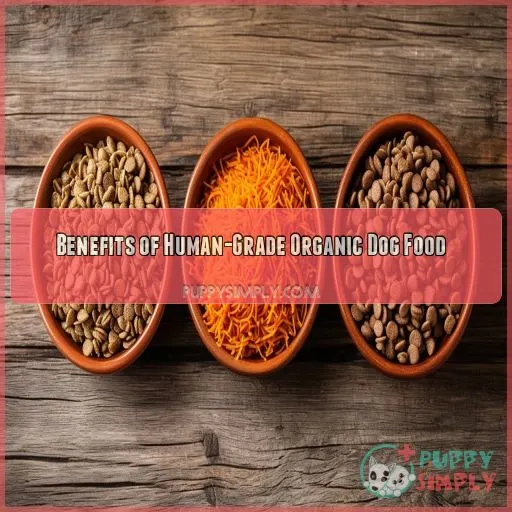 Benefits of Human-Grade Organic Dog Food