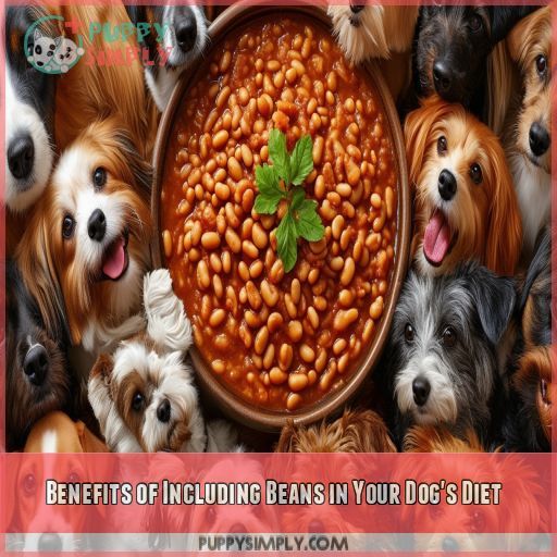Benefits of Including Beans in Your Dog