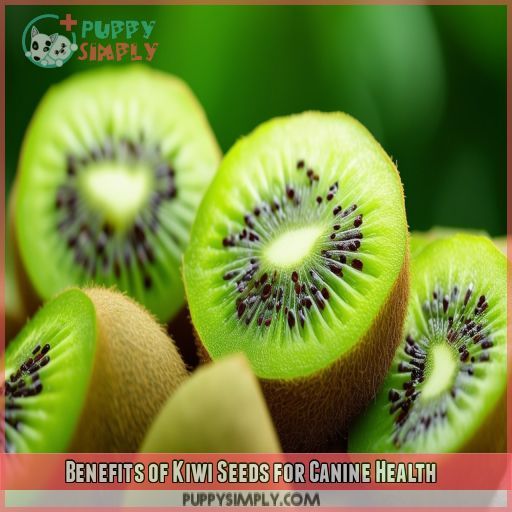 Benefits of Kiwi Seeds for Canine Health