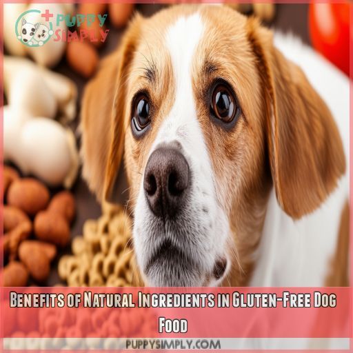 Benefits of Natural Ingredients in Gluten-Free Dog Food