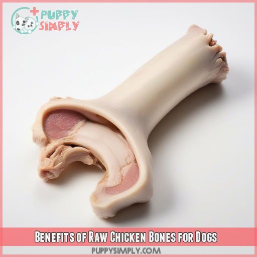 Benefits of Raw Chicken Bones for Dogs