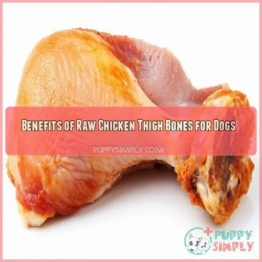 Benefits of Raw Chicken Thigh Bones for Dogs