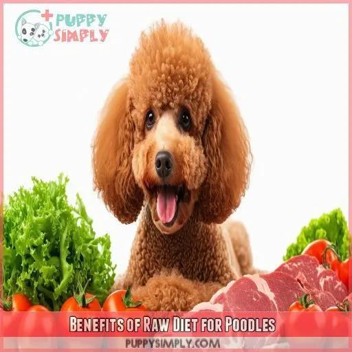 Benefits of Raw Diet for Poodles