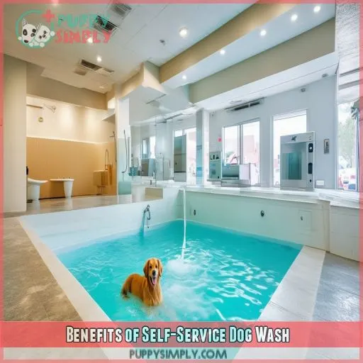 Benefits of Self-Service Dog Wash