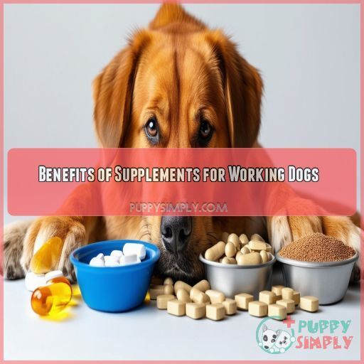 Benefits of Supplements for Working Dogs Benefits of Supplements for Working Dogs