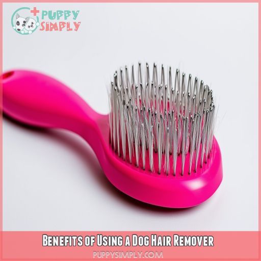 Benefits of Using a Dog Hair Remover