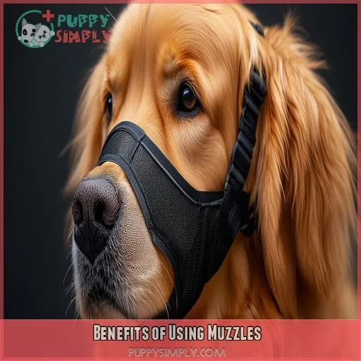 Benefits of Using Muzzles