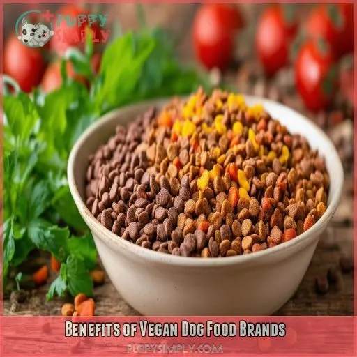 Benefits of Vegan Dog Food Brands