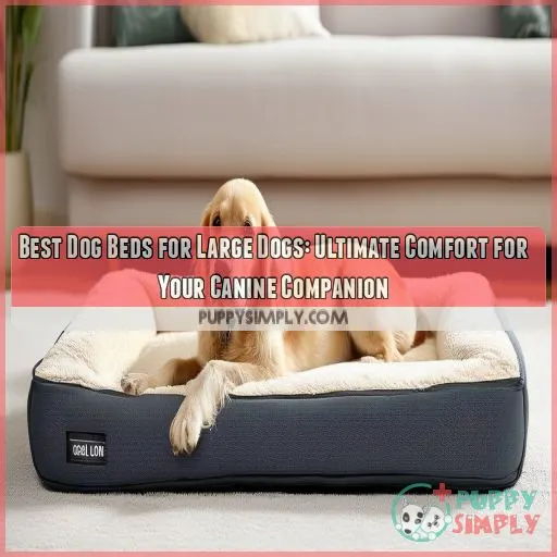 best dog beds for large dogs