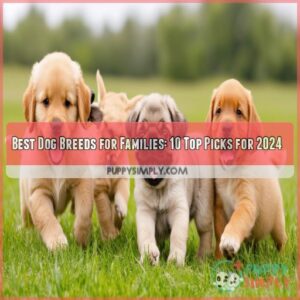 Best dog breeds for families