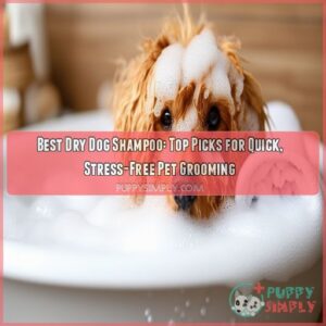 best dry dog shampoo