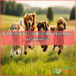 best off leash dogs