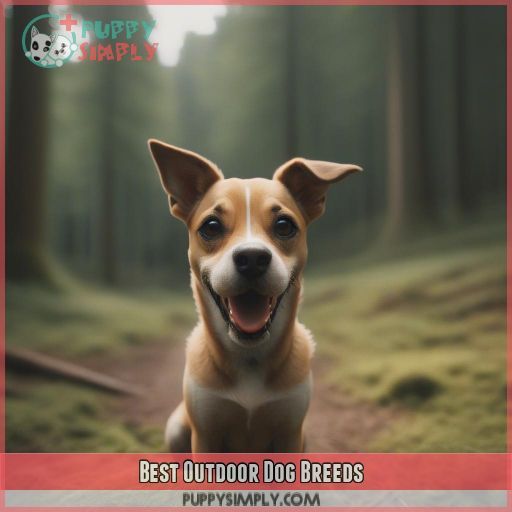 Best Outdoor Dog Breeds
