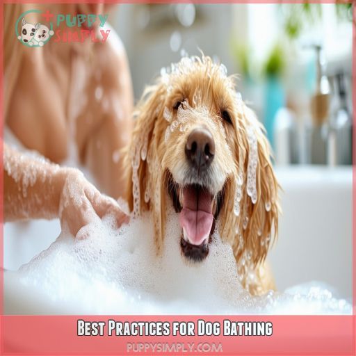 Best Practices for Dog Bathing