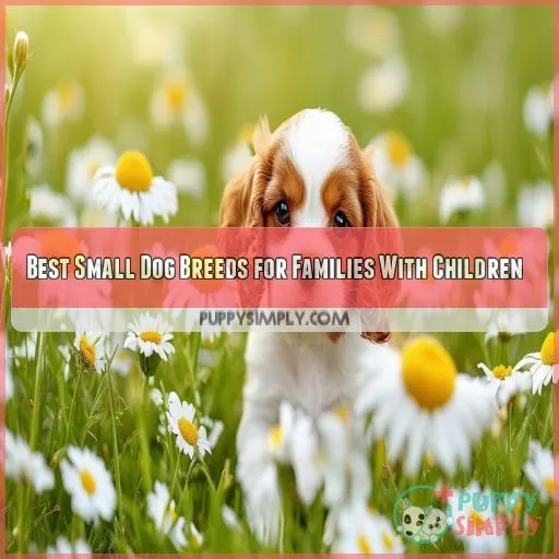 Best Small Dog Breeds for Families With Children