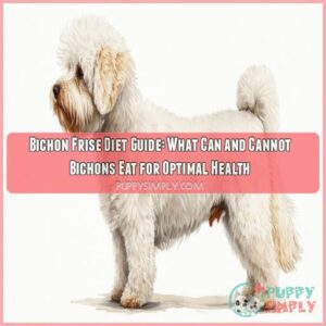 bichon frise what can and cannot bichons eat