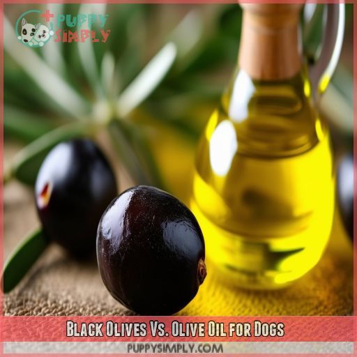 Black Olives Vs. Olive Oil for Dogs