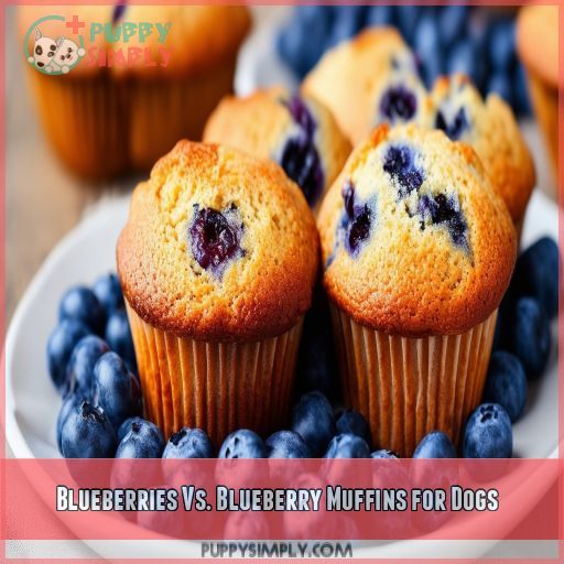 Blueberries Vs. Blueberry Muffins for Dogs