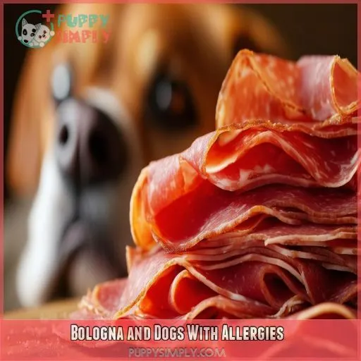 Bologna and Dogs With Allergies